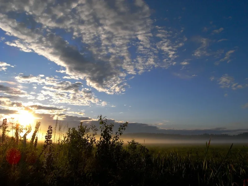 Sunrise Through Mist_2.webp