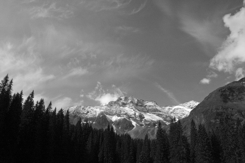 _0010362 b&w_ridimensionare.jpg