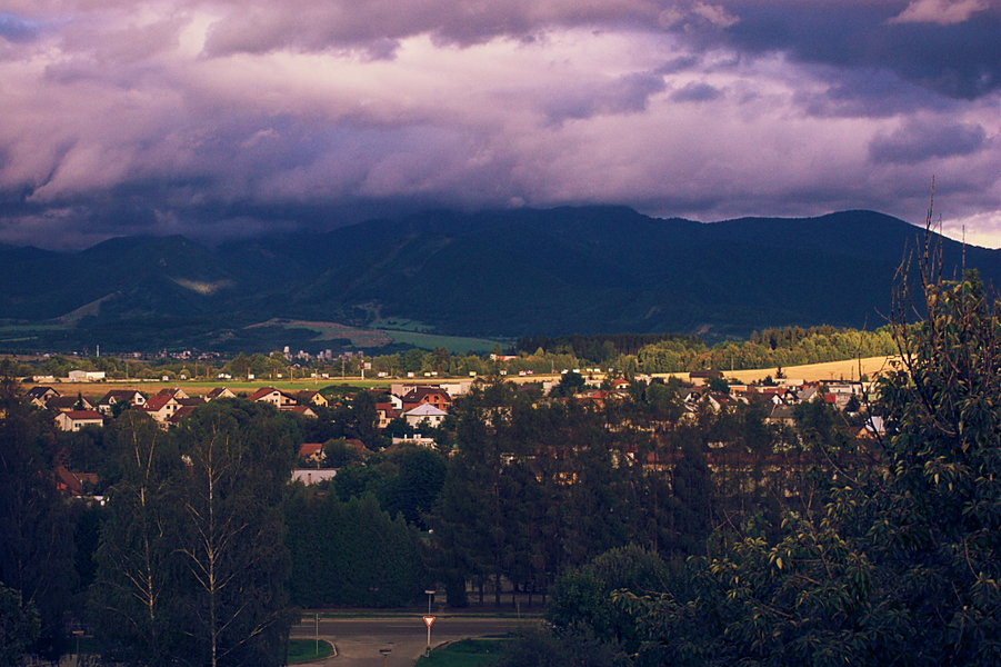 R0011635_dng.jpg