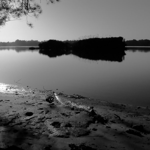 Pointing up-river.jpg