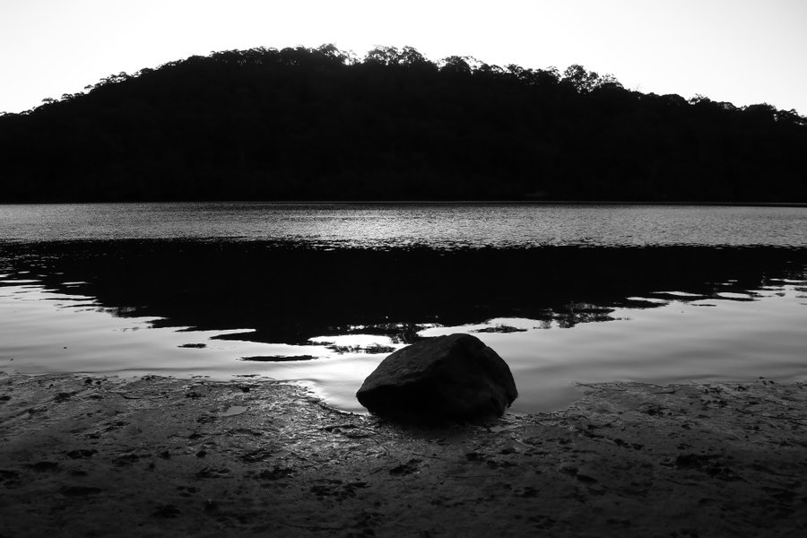 Floating ashore.jpg