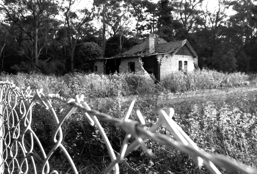 R0013178.webp