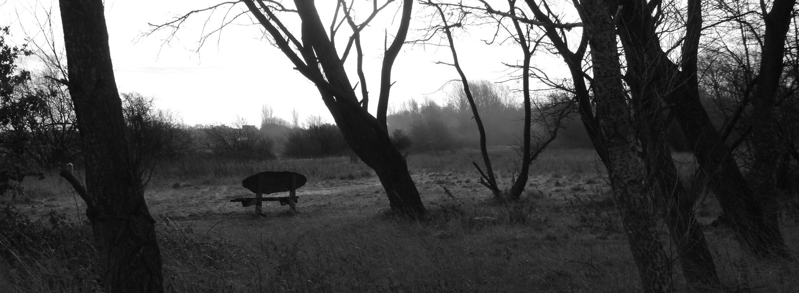 P1000491_bw.JPG
