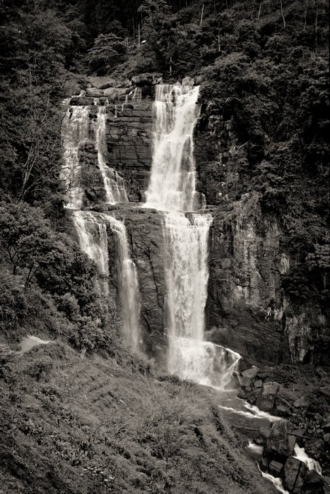 sized_Scan-111211-0001.JPG