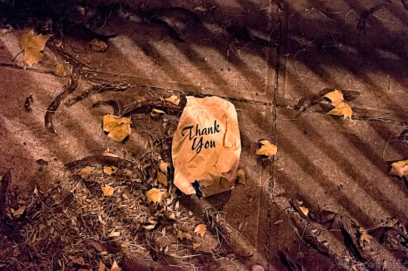 _0012490_c[s].jpg