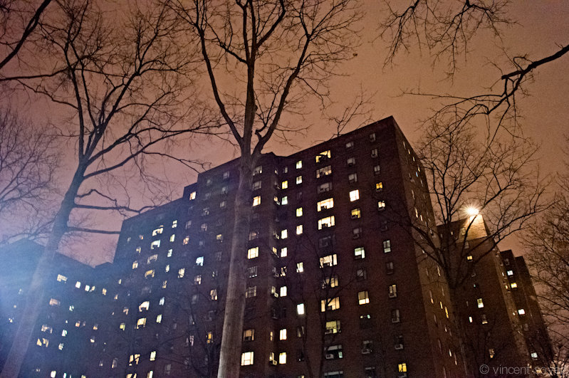 _0012455_c[s].jpg
