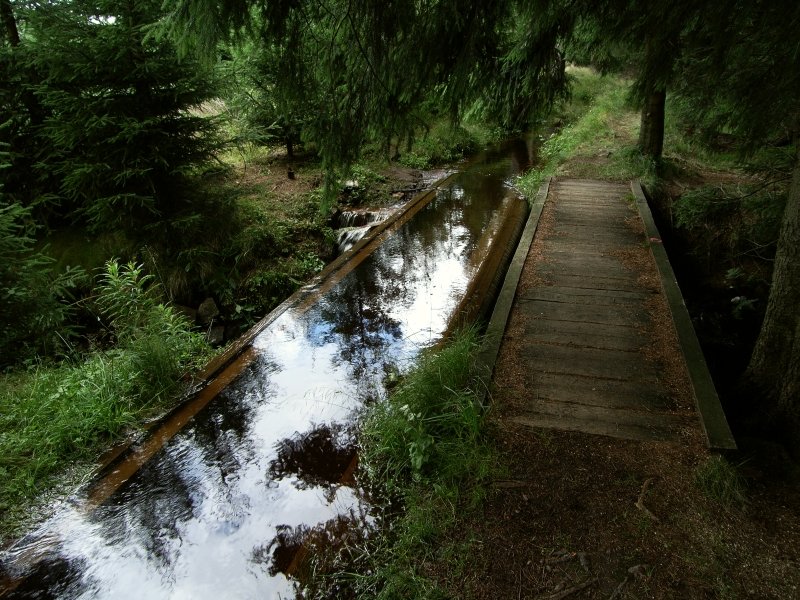 R0011504m.jpg