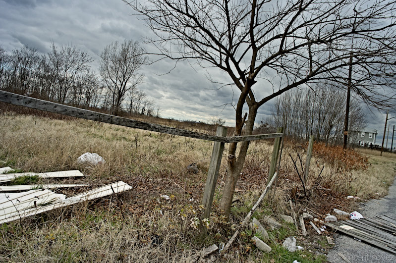_0013019_c[s].jpg