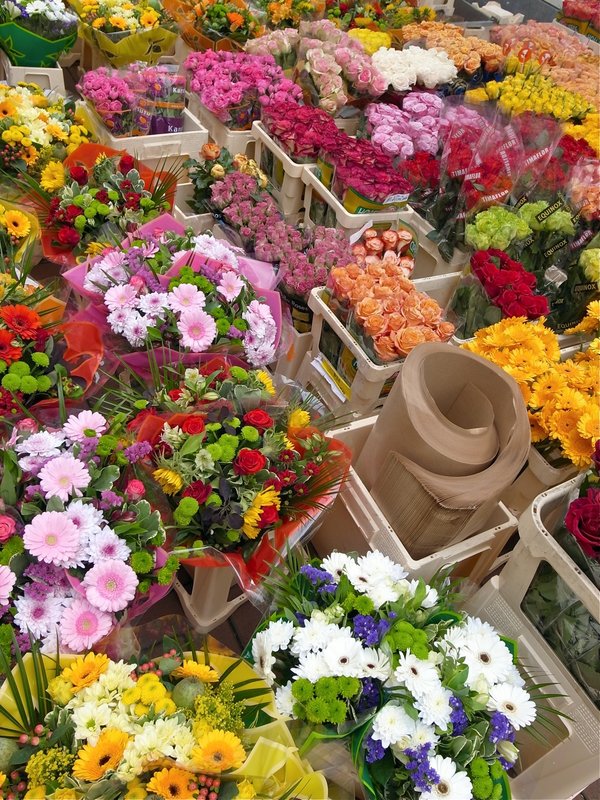 LeidenFlowers2.jpg
