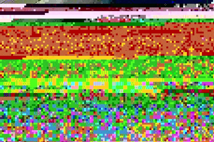 0411 362496.webp