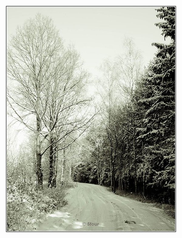 SNOW.JPG