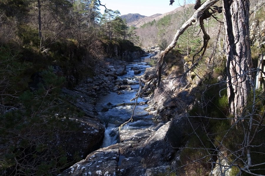 Glen Affric 2.JPG
