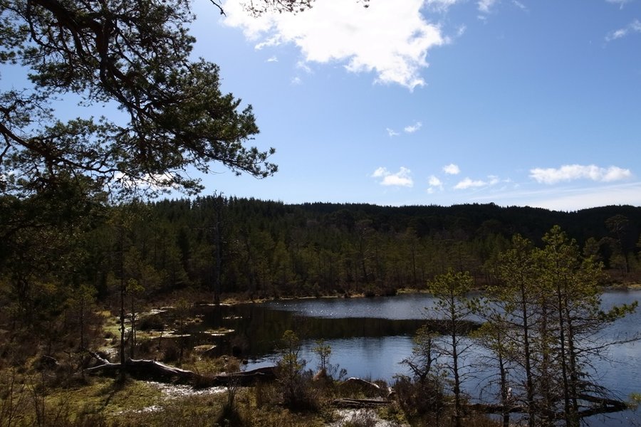 Loch Coire - standard.JPG