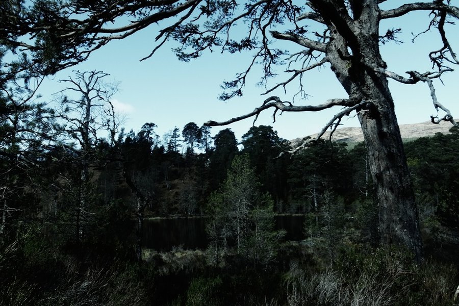 Loch Coire - bleach bypass.JPG