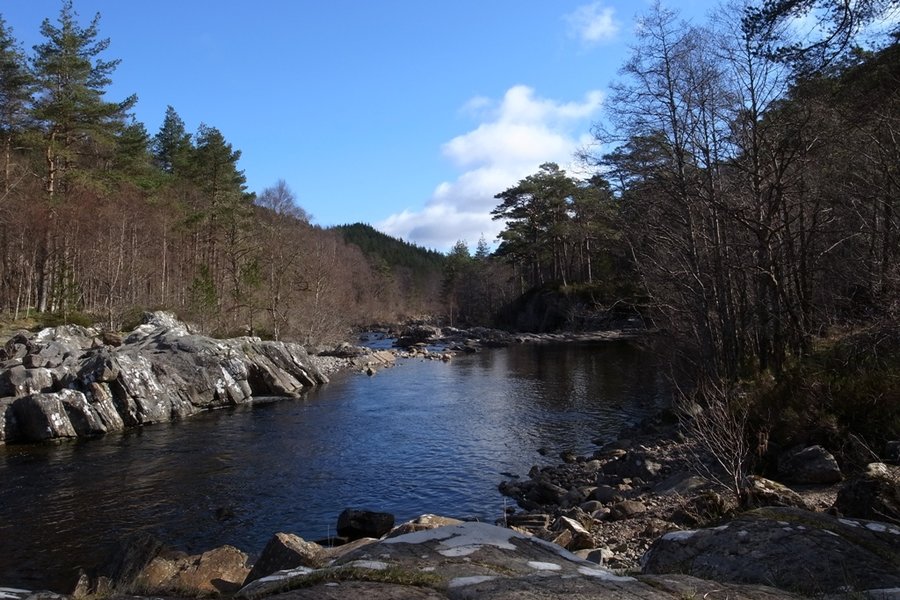 Glen Affric 1.JPG