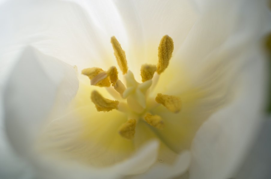 R1043055.jpg