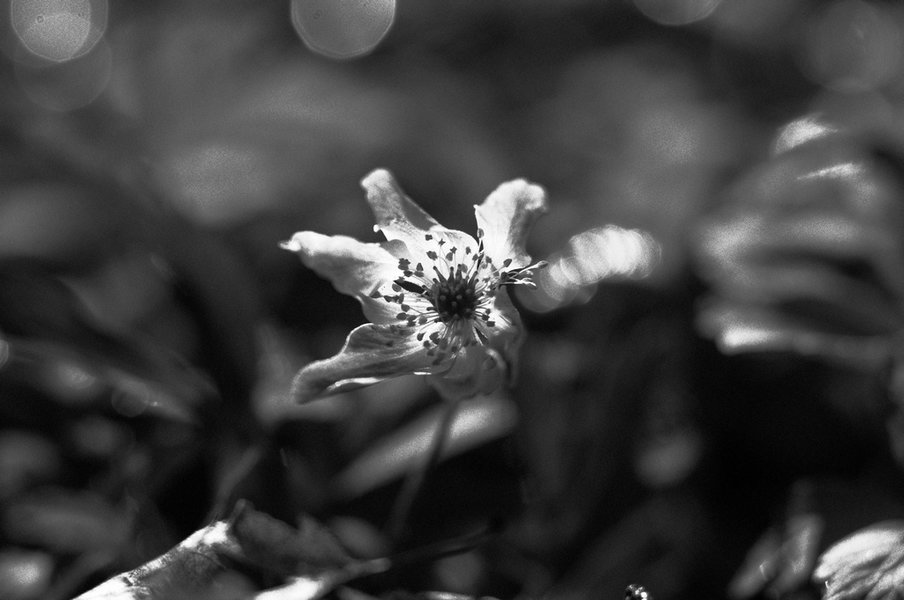 R1043237.jpg