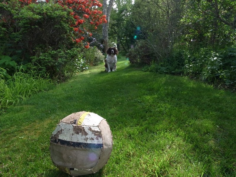 DW6 in to sun with some flare.JPG