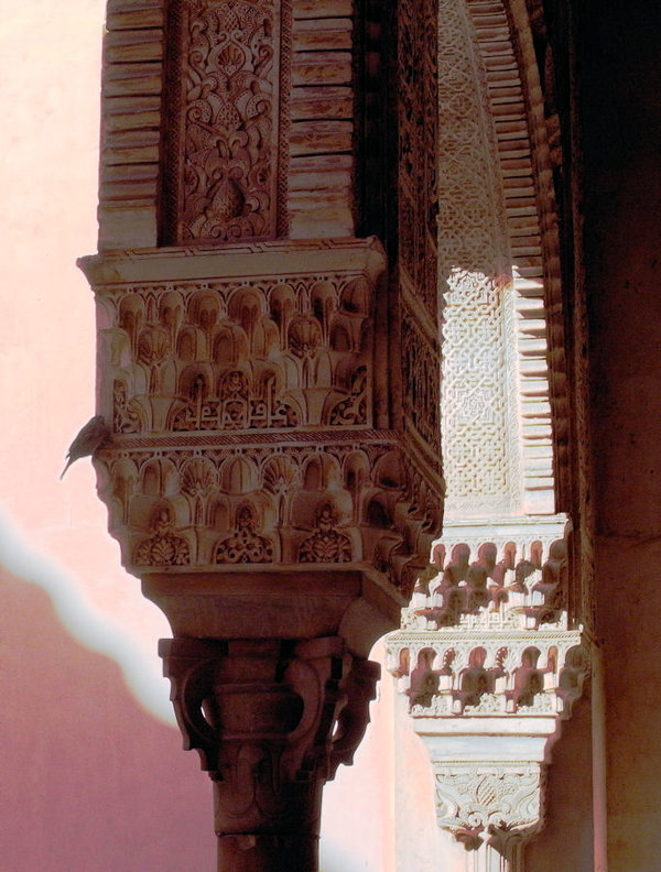 nazarines_bird.JPG