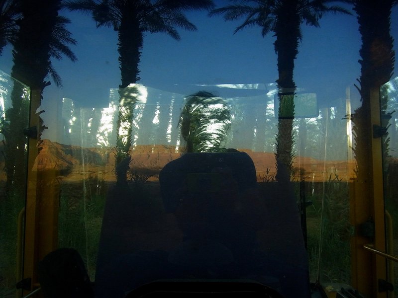 RIMG6142.JPG