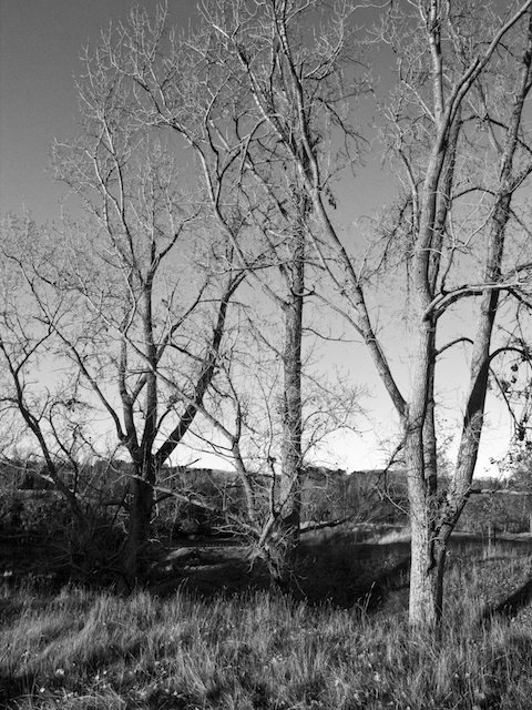 'When Night Touches Day'.jpg