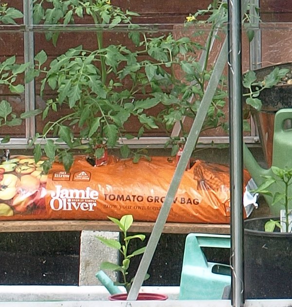 greenhouse-crop2.jpg