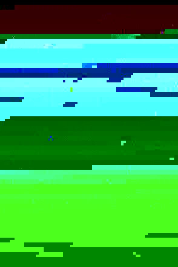 R0031108.JPG