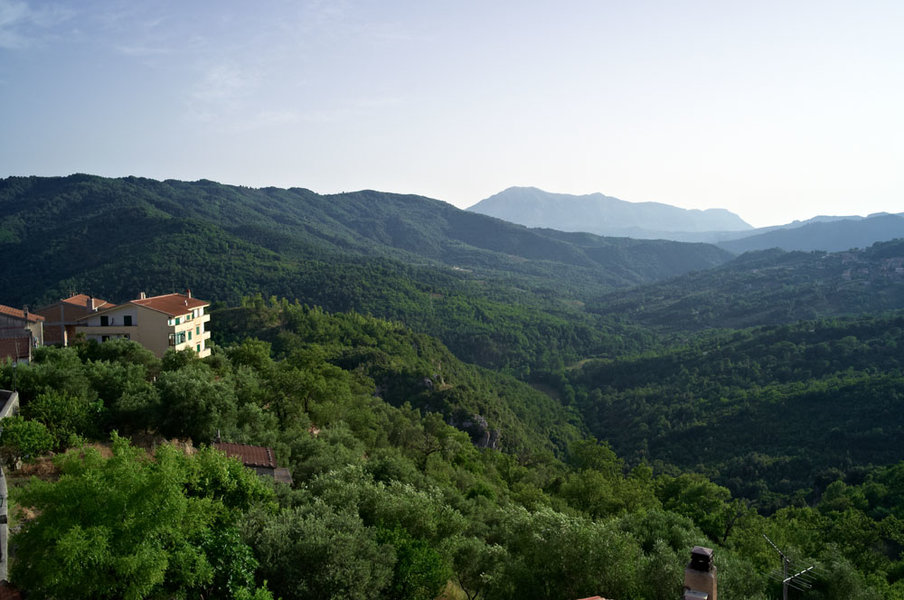 Morigerati Tal-1000.jpg