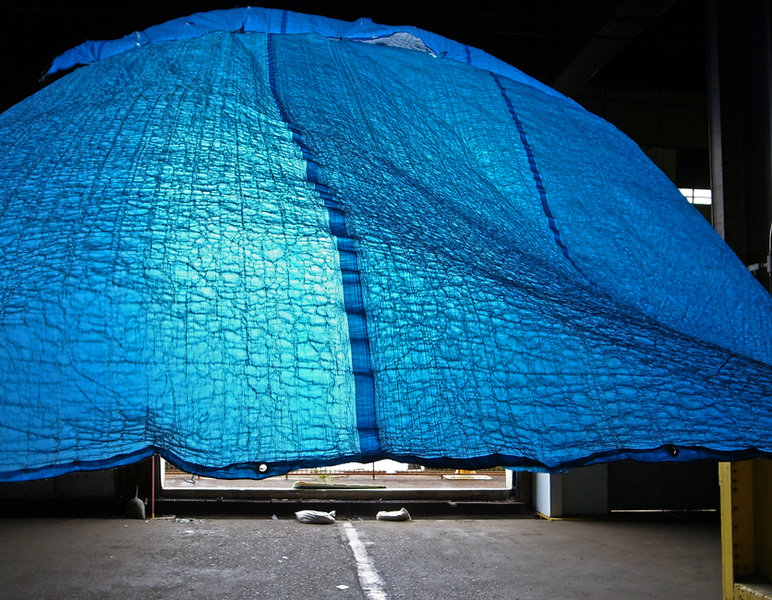 NYCtarp2.jpg