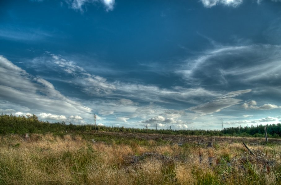 R0010677.jpg