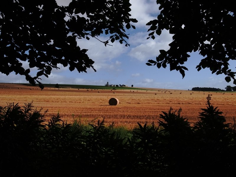 bales.JPG