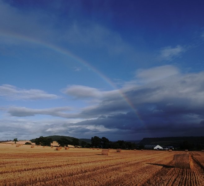 Pot of Gold.JPG