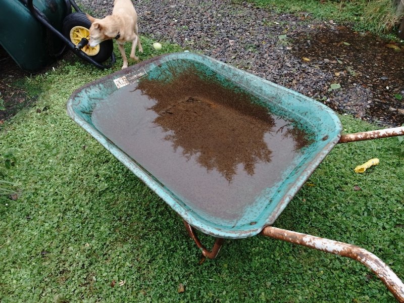 30 hours of rainfall.JPG