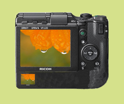 ricoh back1.jpg