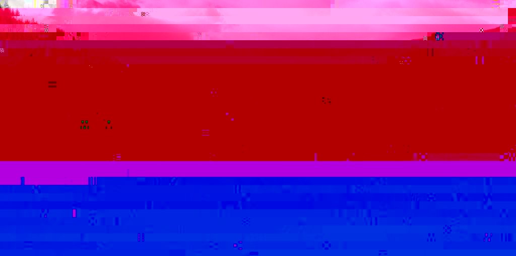 R0015811PSE3 (1024 x 509).jpg