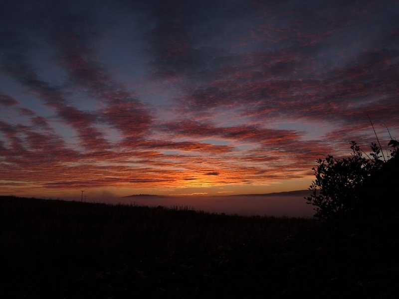 Munlochy sunrise over haar.JPG