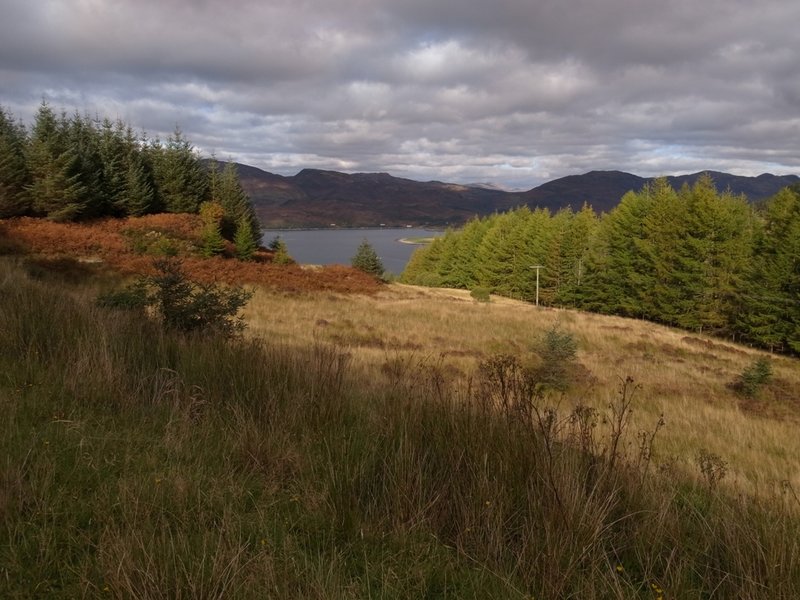 Glenelg 3.JPG