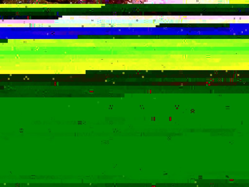 R0036708PSE1 (1024 x 768).jpg