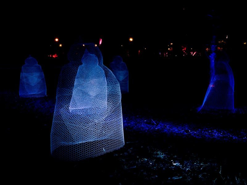 Fête des Lumières 2011 - Lyon.jpg