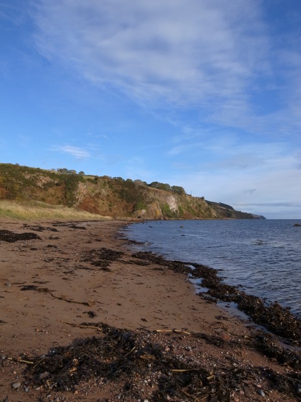 Move target -portrait.JPG