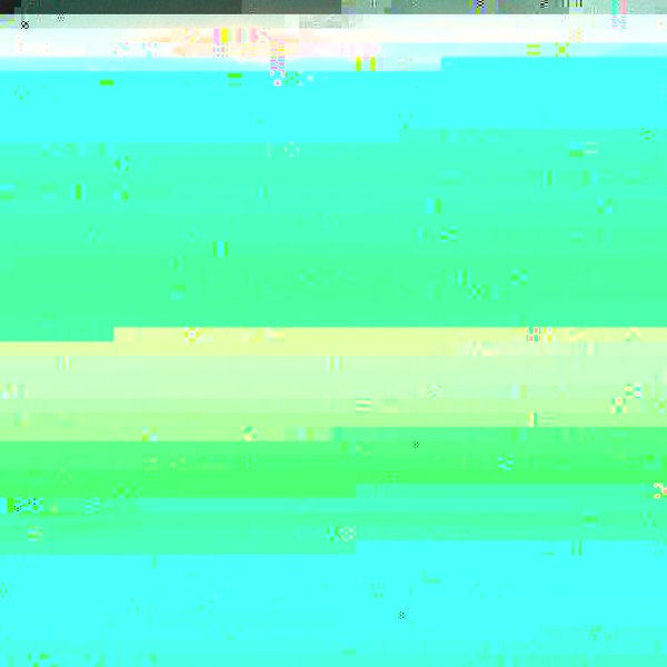 R0016048PSE6 (750 x 750).jpg