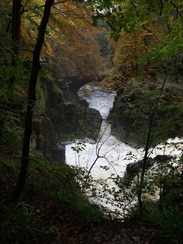 Hermitage 3.JPG