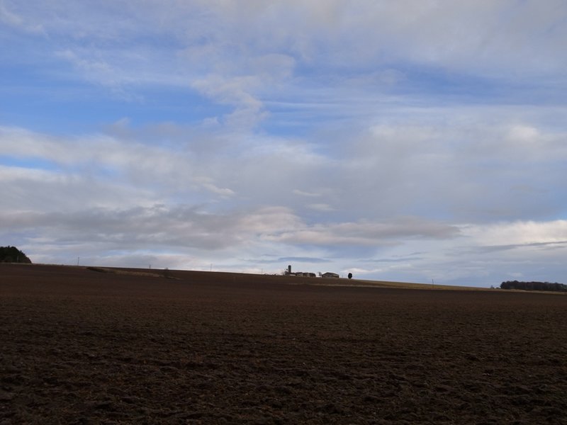 A quiet scene.JPG