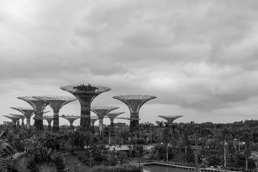 20130104-R0010235.jpg