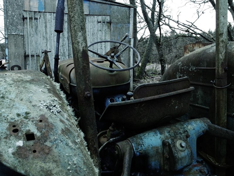 Fordson Major 4.JPG