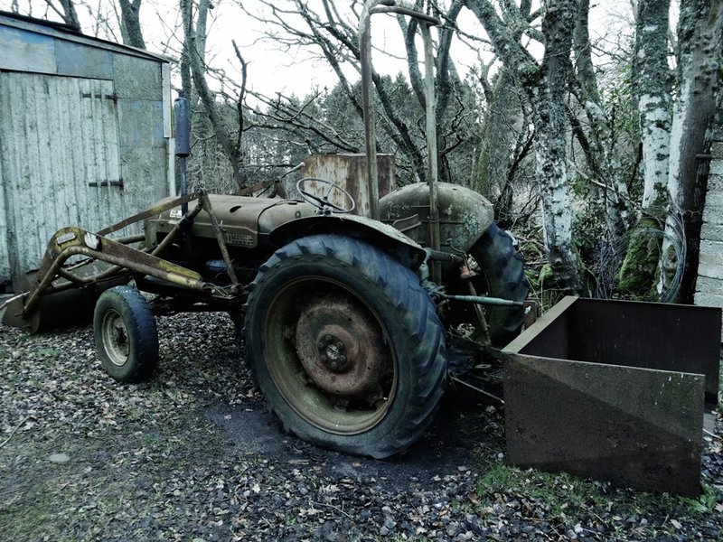 Fordson Major 1.JPG