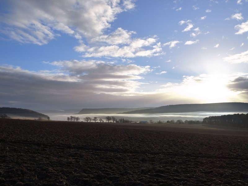 Mist over Munlochy Bay.JPG