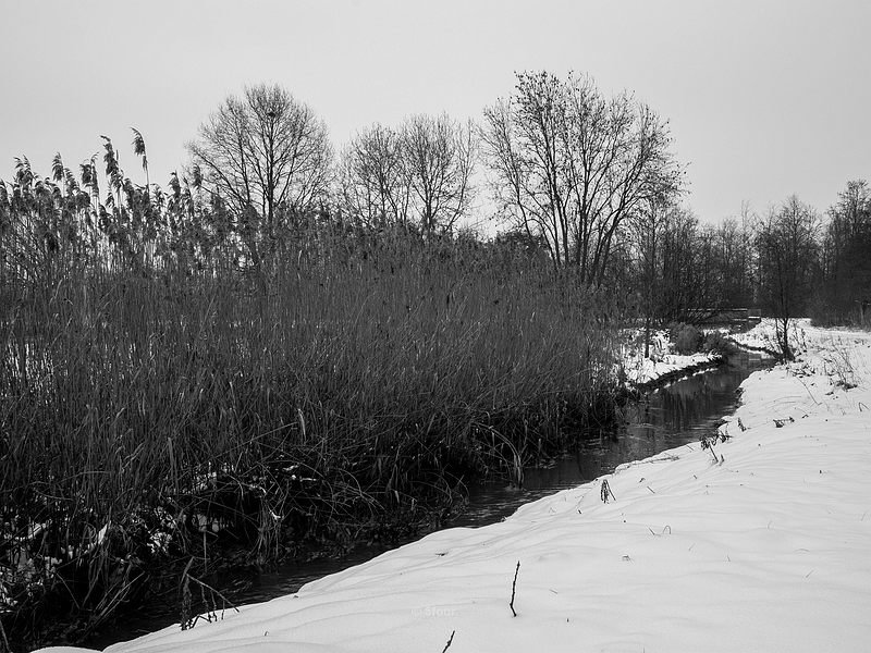 sized_R0024181.JPG