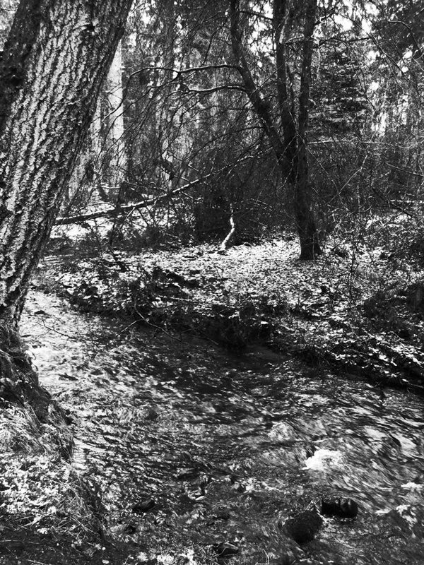 PX Hi Contrast B&W.JPG