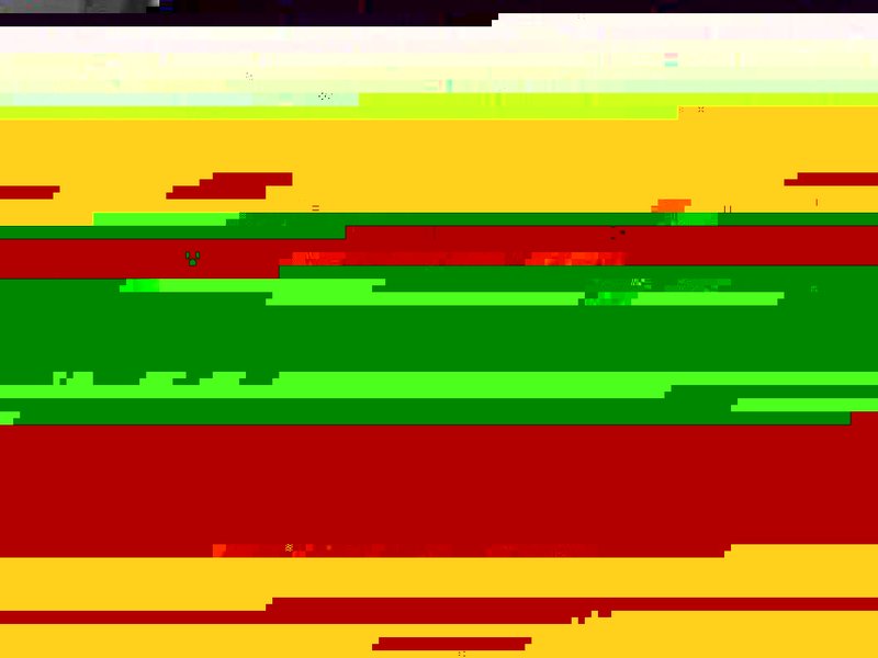 R1016392.JPG